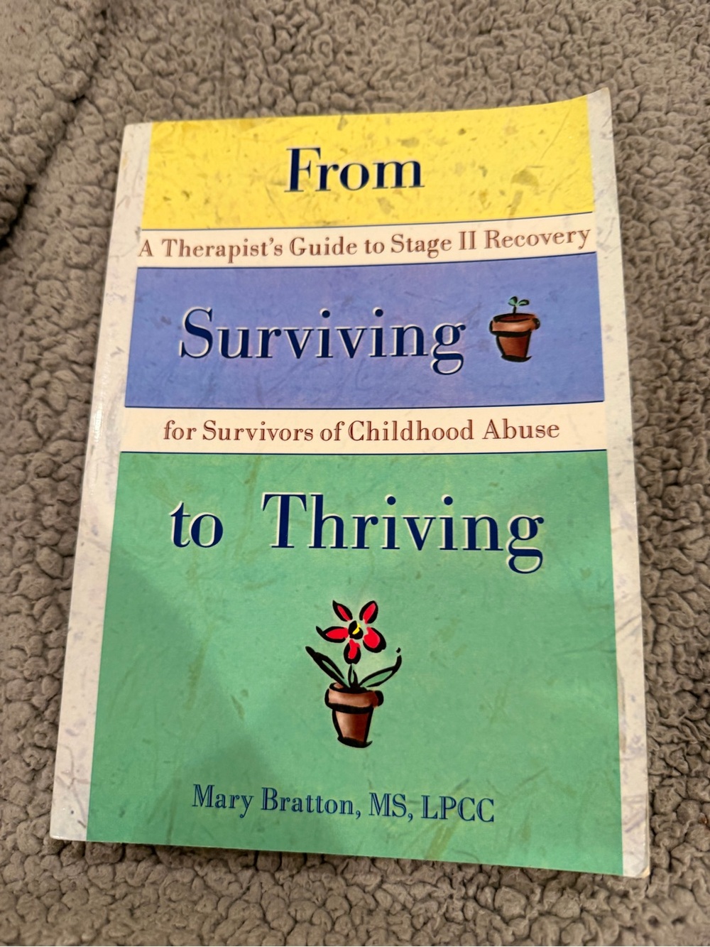 From Surviving to Thriving - Green Paperback by Mary Bratton